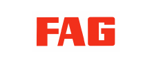 Spagnuolo Srl, FAG logo