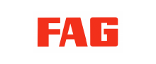 FAG Spagnuolo Srl, FAG logo