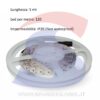 Striscia LED da 5 metri Monocolore 60 Led/Metro 7,2 W/M - VTAC 2042