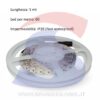 Striscia LED 5 metri Monocolore 60 Led/Metro 10, 8W/M - VTAC 2143