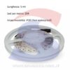 Striscia LED 5 metri monocolore 204 Led/Metro 18W/M - VTAC 2405