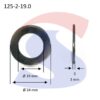Rondella per Viti e dadi Esagonali (Piana) Inox M18 - INOX 125-2-19.0