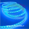 Striscia LED 5 metri Monocolore 60 Led/Metro 10, 8W/M - VTAC 2137