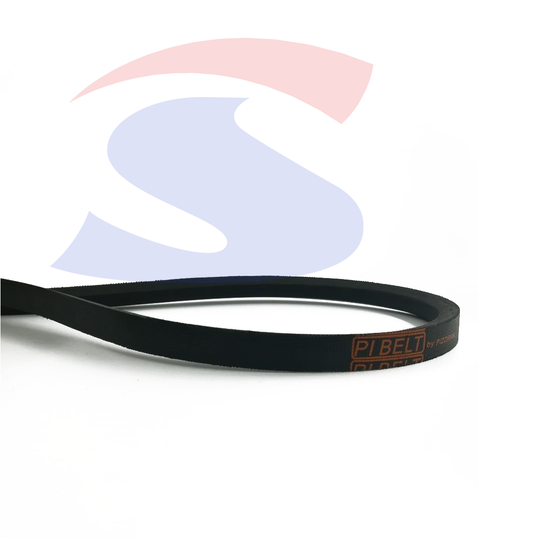 Cinghia PIBELT  C 65  - PIBELT C65