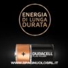 Batterie Alcaline PLUS POWER C - DURACELL MN1400/2