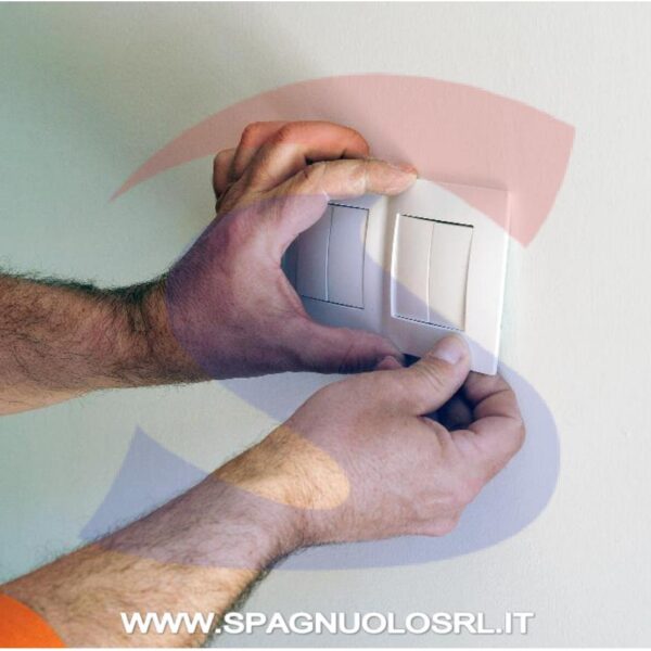 BTICINO L4802AL LIVING INT PLACCA 2 POSTI ALLUMINIO