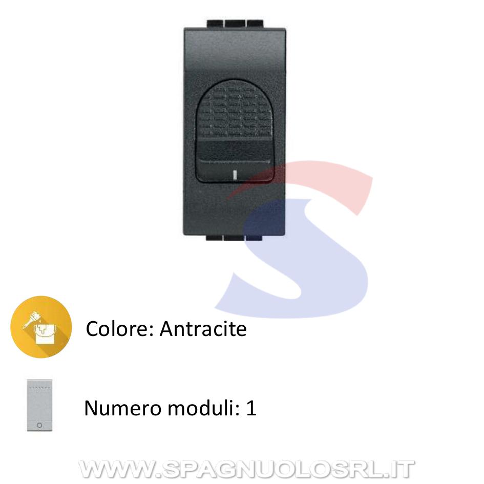 Interruttore serie "LIVING LIGHT" 2P 32 A, 250 V Antracite - BTICINO L4011