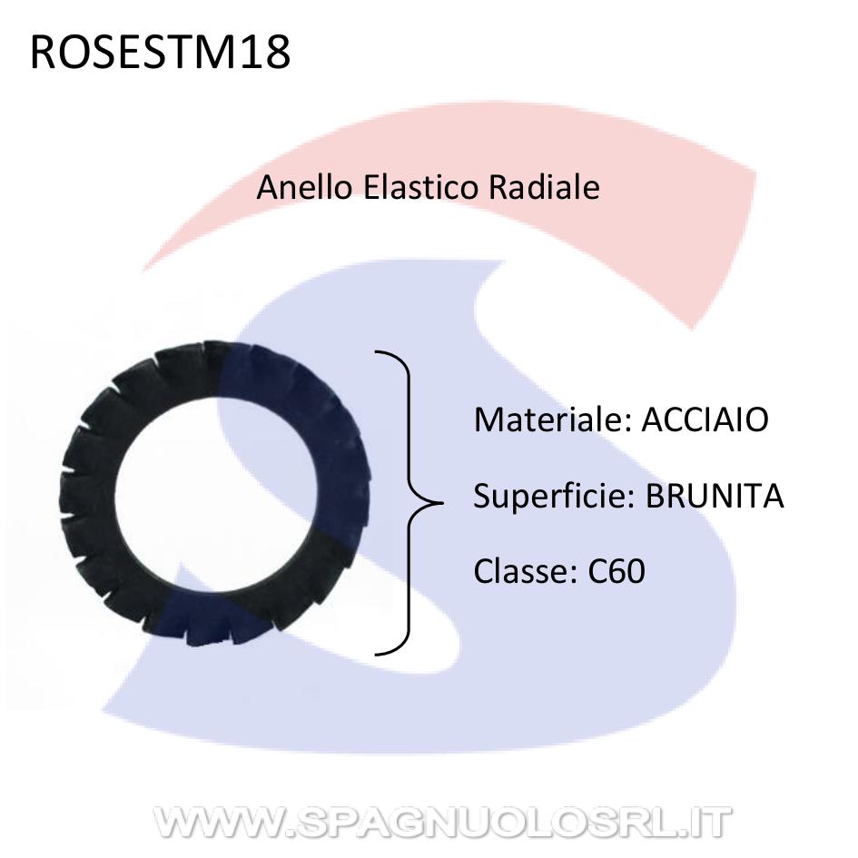 Rosetta Dentellata Esterna Brunita M18 - VITI ROSESTM18