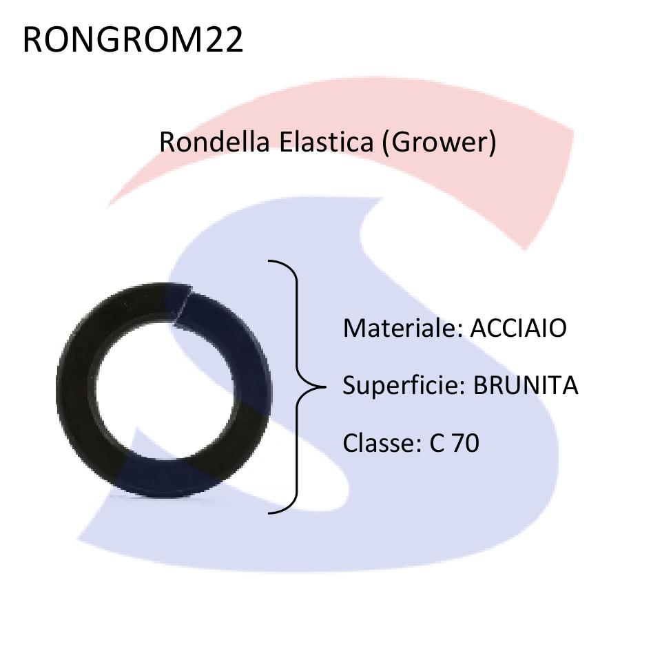 Rondella Elastica (Grower) Brunita M22 - VITI RONGROM22