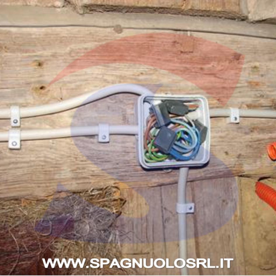 Graffetta con chiodo per cavo Ø 3-4 mm Bianca - MASTER 400B34