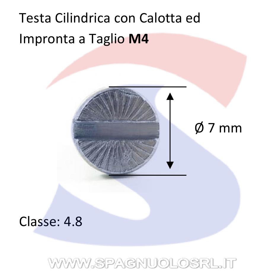 Vite TC con Calotta ed Impronta a Taglio Zincata 4X50 mm - VITI VITTAGZNM04L50