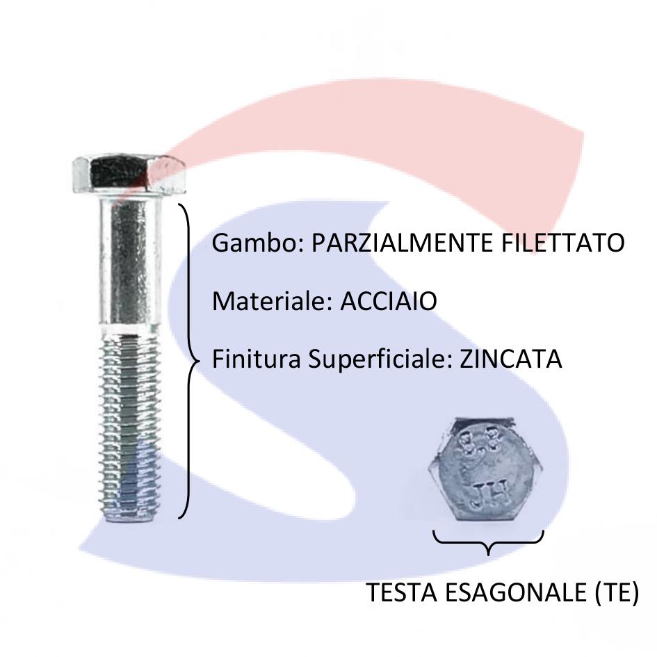 Vite TE 8.8 Parzialmente Filettata Zincata 22X140 mm - VITI VITTEZNM22X140