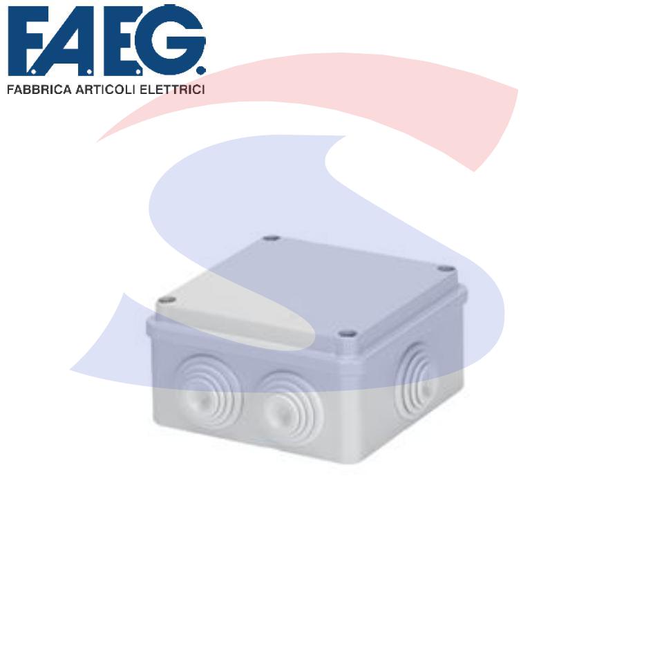 Cassetta di derivazione stagna 100x100X50 mm - FAEG 13404