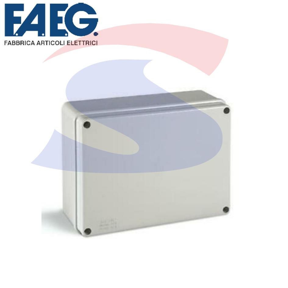 Cassetta di derivazione stagna 300 x 220 x 120 mm - FAEG 13508
