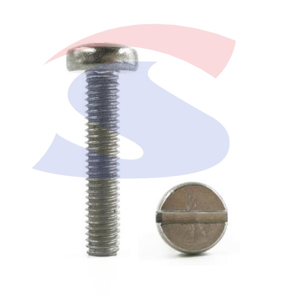 Vite TC con Calotta ed Impronta a Taglio Inox 3x25 mm - VITI VITTAGM03L25IN