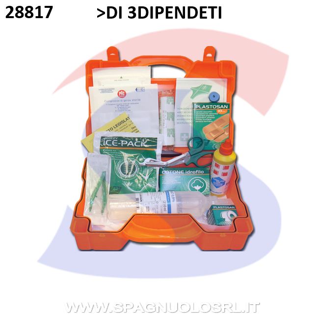 CASSETTA PRONTO SOCCORSO - DE SANTIS 40123
