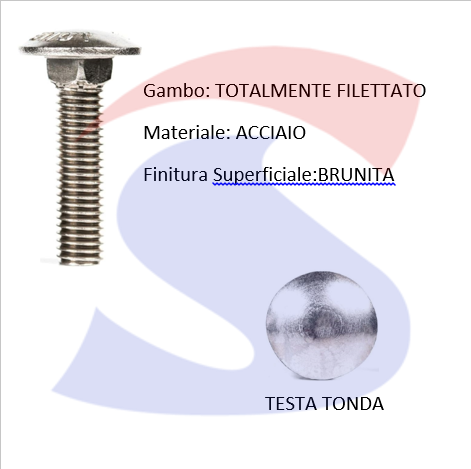 VITE TESTA TONDA CON QUADROSOTTOTESTA M08X16 ZINCATE - VITI TEQUASOTZNM8X16