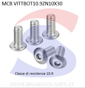 VITE TESTA BOTTONE 10.9 10X30ESAGONALE ZINCATA - VITI VITTBOT10.9ZN10X30