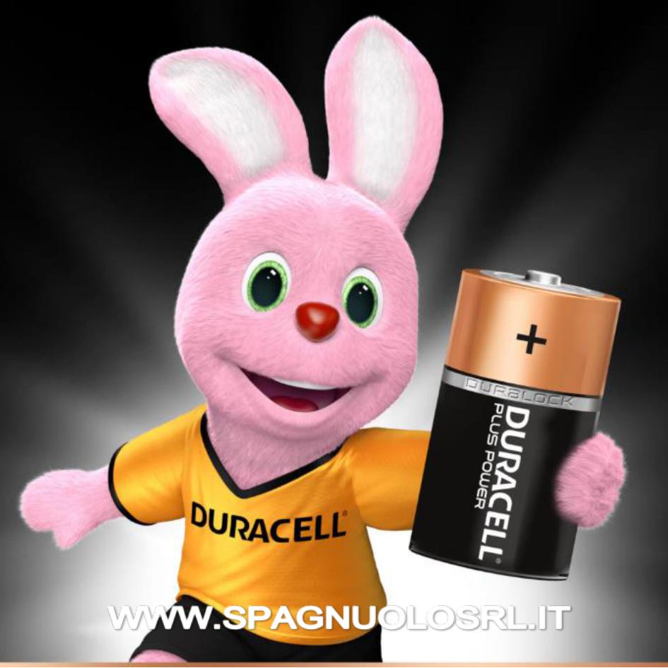 Batterie Alcaline PLUS POWER D - DE SANTIS 50848