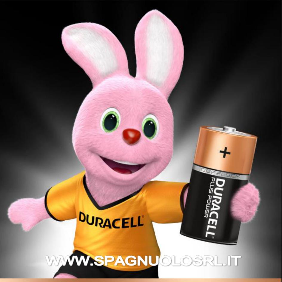 Batterie Alcaline PLUS POWER C - DURACELL MN1400/2