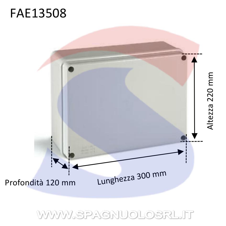 Cassetta di derivazione stagna 300 x 220 x 120 mm - FAEG 13508