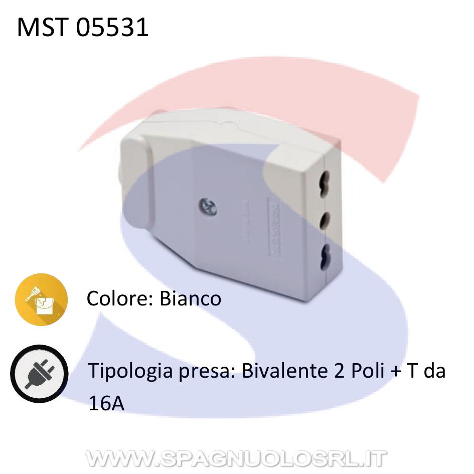 Presa bivalente 2 poli + T P17/11 da 16A, Bianco - MASTER 05231