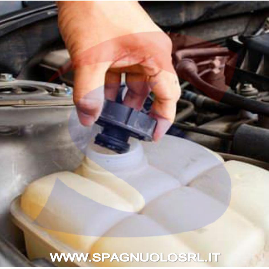 Disincrostante liquido per radiatori auto Arexons da 500 ml - AREXONS 3507