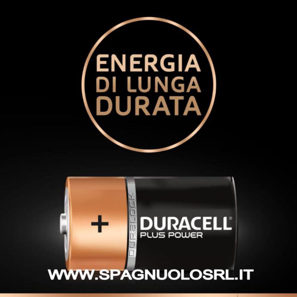 Batterie Alcaline PLUS POWER D - DE SANTIS 50848
